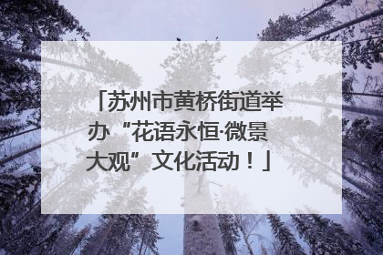 苏州市黄桥街道举办“花语永恒·微景大观”文化活动！