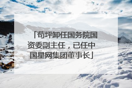 苟坪卸任国务院国资委副主任，已任中国星网集团董事长