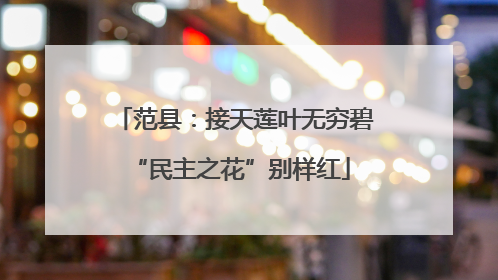 范县：接天莲叶无穷碧 “民主之花”别样红
