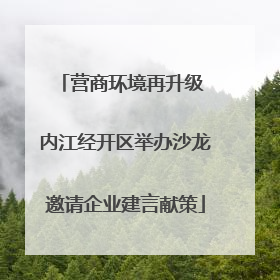 营商环境再升级 内江经开区举办沙龙邀请企业建言献策