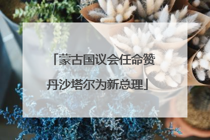 蒙古国议会任命赞丹沙塔尔为新总理