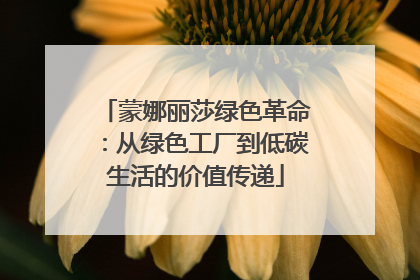 蒙娜丽莎绿色革命：从绿色工厂到低碳生活的价值传递