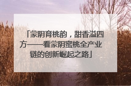 蒙阴育桃韵，甜香溢四方——看蒙阴蜜桃全产业链的创新崛起之路