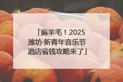 薅羊毛！2025潍坊·新青年音乐节酒店省钱攻略来了