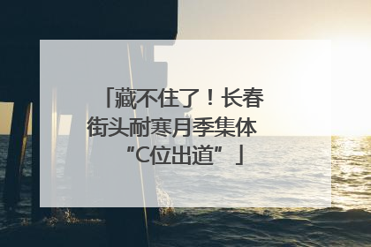 藏不住了！长春街头耐寒月季集体“C位出道”