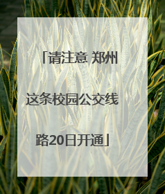 请注意 郑州这条校园公交线路20日开通