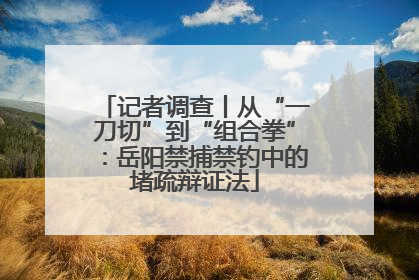 记者调查丨从“一刀切”到“组合拳”：岳阳禁捕禁钓中的堵疏辩证法