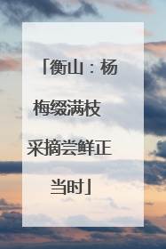 衡山：杨梅缀满枝 采摘尝鲜正当时