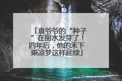 袁爷爷的“种子”在丽水发芽了！四年后，他的禾下乘凉梦这样延续