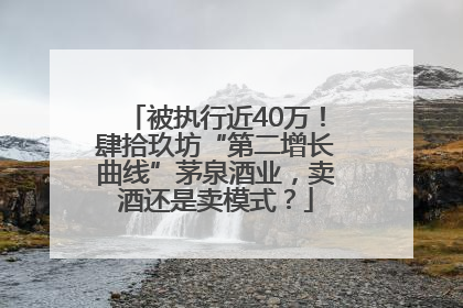 被执行近40万！肆拾玖坊“第二增长曲线”茅泉酒业，卖酒还是卖模式？