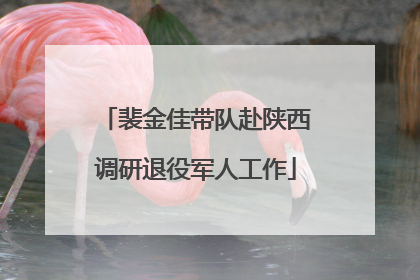裴金佳带队赴陕西调研退役军人工作