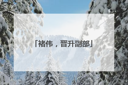 褚伟，晋升副部