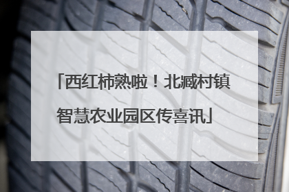西红柿熟啦！北臧村镇智慧农业园区传喜讯
