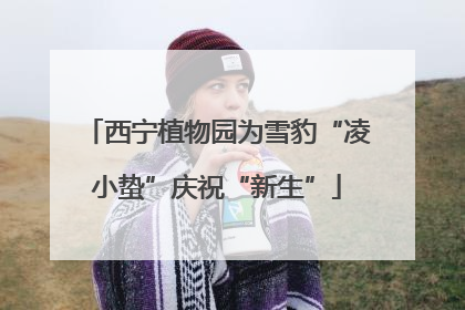 西宁植物园为雪豹“凌小蛰”庆祝“新生”