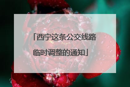 西宁这条公交线路临时调整的通知