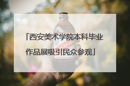 西安美术学院本科毕业作品展吸引民众参观
