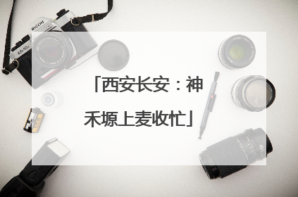 西安长安：神禾塬上麦收忙