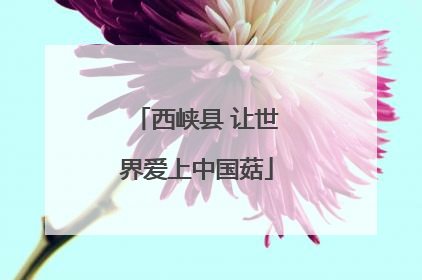 西峡县 让世界爱上中国菇