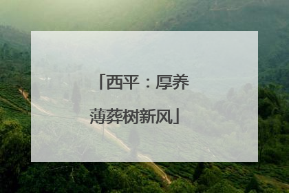 西平：厚养薄葬树新风