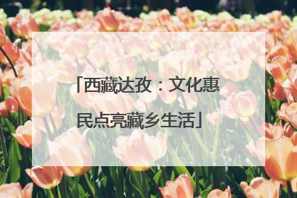 西藏达孜：文化惠民点亮藏乡生活