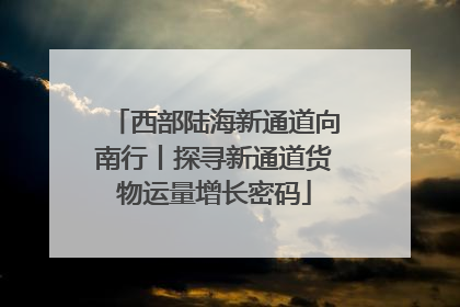 西部陆海新通道向南行丨探寻新通道货物运量增长密码