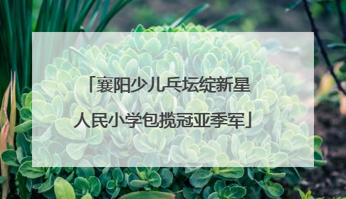 襄阳少儿乓坛绽新星 人民小学包揽冠亚季军