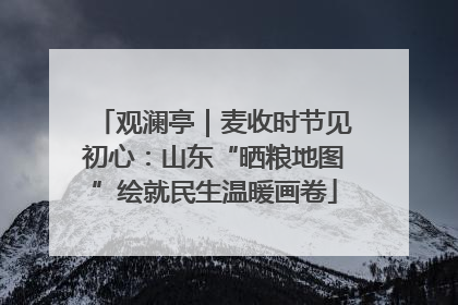 观澜亭｜麦收时节见初心：山东“晒粮地图”绘就民生温暖画卷