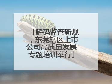 解码监管新规，东莞辖区上市公司高质量发展专题培训举行