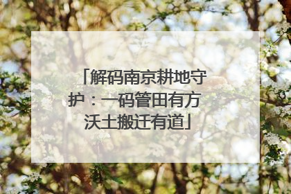 解码南京耕地守护：一码管田有方 沃土搬迁有道