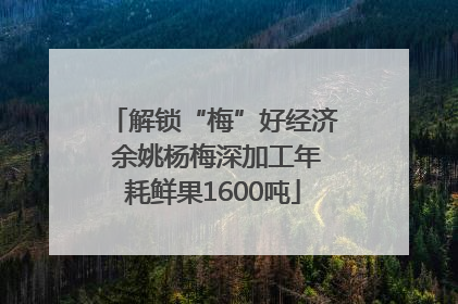 解锁“梅”好经济 余姚杨梅深加工年耗鲜果1600吨