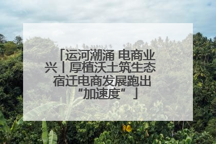 运河潮涌 电商业兴丨厚植沃土筑生态 宿迁电商发展跑出“加速度”
