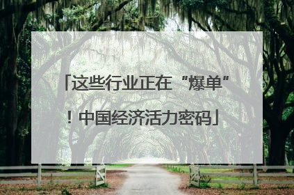 这些行业正在“爆单”！中国经济活力密码