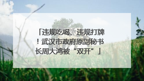 违规吃喝、违规打牌！武汉市政府原副秘书长周大鸿被“双开”