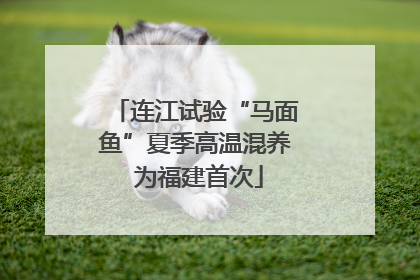 连江试验“马面鱼”夏季高温混养 为福建首次