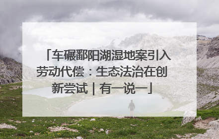 车碾鄱阳湖湿地案引入劳动代偿：生态法治在创新尝试｜有一说一