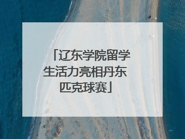辽东学院留学生活力亮相丹东匹克球赛