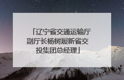 辽宁省交通运输厅副厅长杨树履新省交投集团总经理