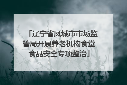 辽宁省凤城市市场监管局开展养老机构食堂食品安全专项整治