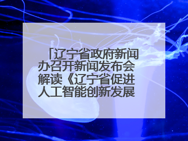 辽宁省政府新闻办召开新闻发布会解读《辽宁省促进人工智能创新发展实施方案》