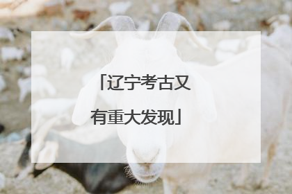 辽宁考古又有重大发现