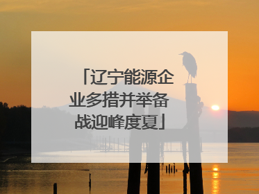 辽宁能源企业多措并举备战迎峰度夏