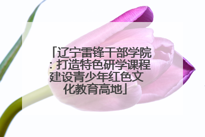 辽宁雷锋干部学院：打造特色研学课程 建设青少年红色文化教育高地