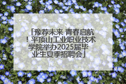 豫荐未来 青春启航！平顶山工业职业技术学院举办2025届毕业生夏季招聘会