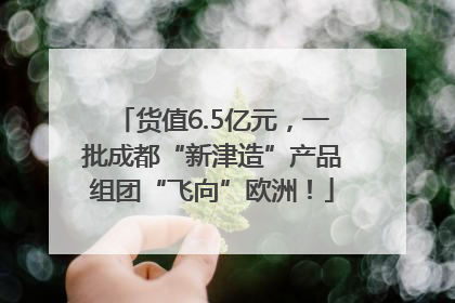货值6.5亿元，一批成都“新津造”产品组团“飞向”欧洲！