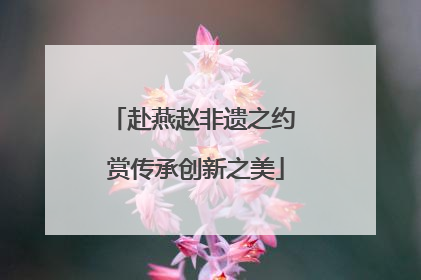 赴燕赵非遗之约 赏传承创新之美
