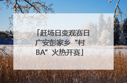 赶场日变观赛日 广安彭家乡“村BA”火热开赛