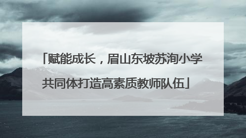 赋能成长，眉山东坡苏洵小学共同体打造高素质教师队伍