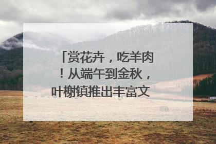 赏花卉，吃羊肉！从端午到金秋，叶榭镇推出丰富文旅活动邀您爽玩