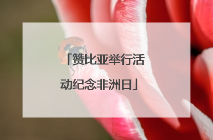 赞比亚举行活动纪念非洲日