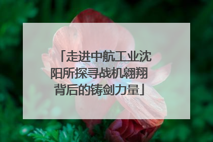 走进中航工业沈阳所探寻战机翱翔背后的铸剑力量